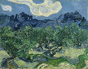 The Olive Trees Vincent Van Gogh